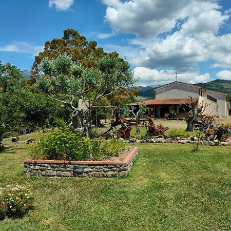 Azienda Agrituristica Verdevalle Cicerale Exterior photo